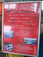 横浜ランドマークタワーのビッグバグズワールド