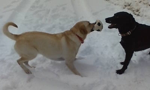 spa&axel in the snow1