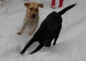 spa&axel in the snow2