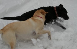 spa&axel in the snow3