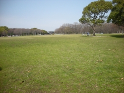 oizumi park