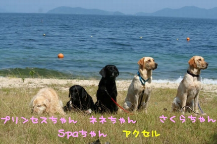 Lake Biwa　July 30