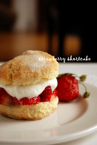 strawberryshortcake1w.jpg