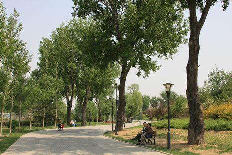 北京朝陽公園3