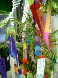 tanabata.jpg