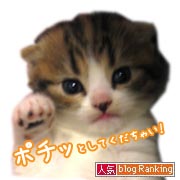 ポチッと愛のクリックお願いします☆人気blog Ranking”に参加中☆応援よろしくお願いします☆