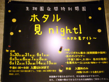 ホタル見night！　2008　足立区　元淵江公園　生物園