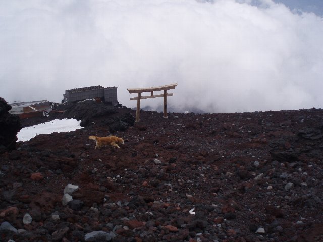 富士山８合目 173