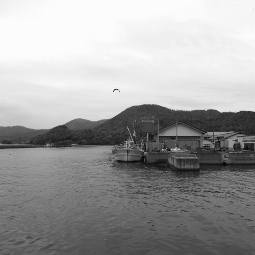 朝の漁港