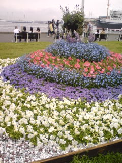 横浜山下公園花壇