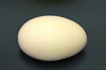 レアの卵jpg