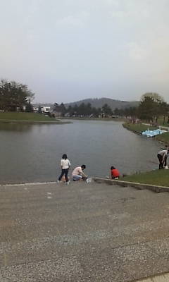 池のある公園。