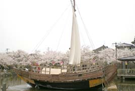 千石船とソメイヨシノ