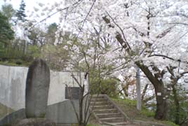 碑と桜
