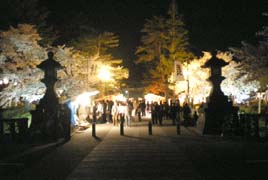 上杉神社の参道