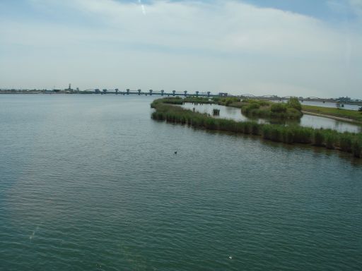 長良川河口